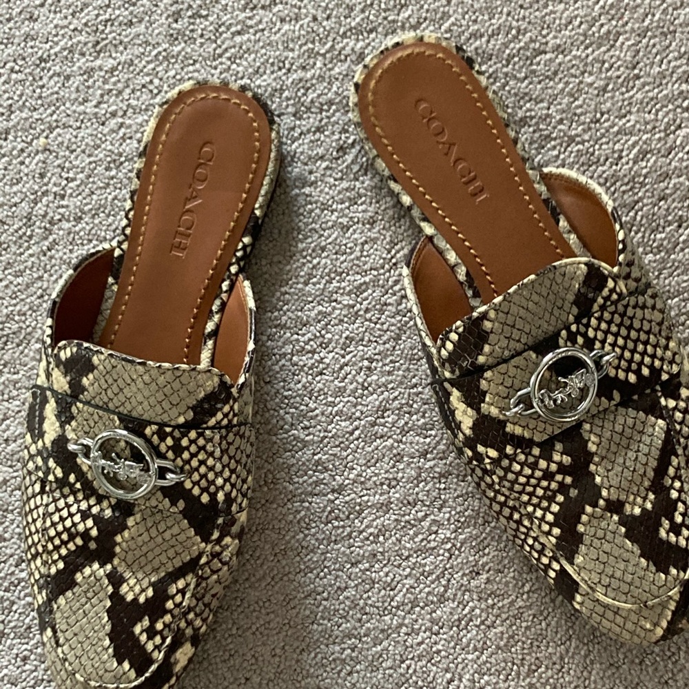 Coach Snakeskin slides